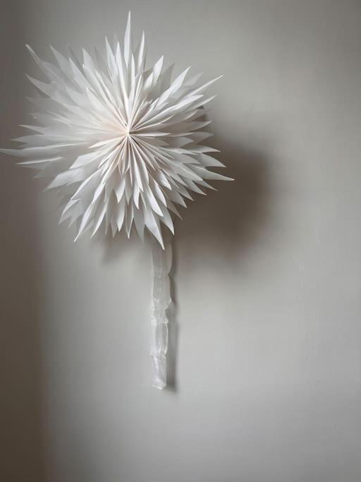 Un Fabuleux Decor Pour Un Chaleureux Appartement ปารีส ภายนอก รูปภาพ